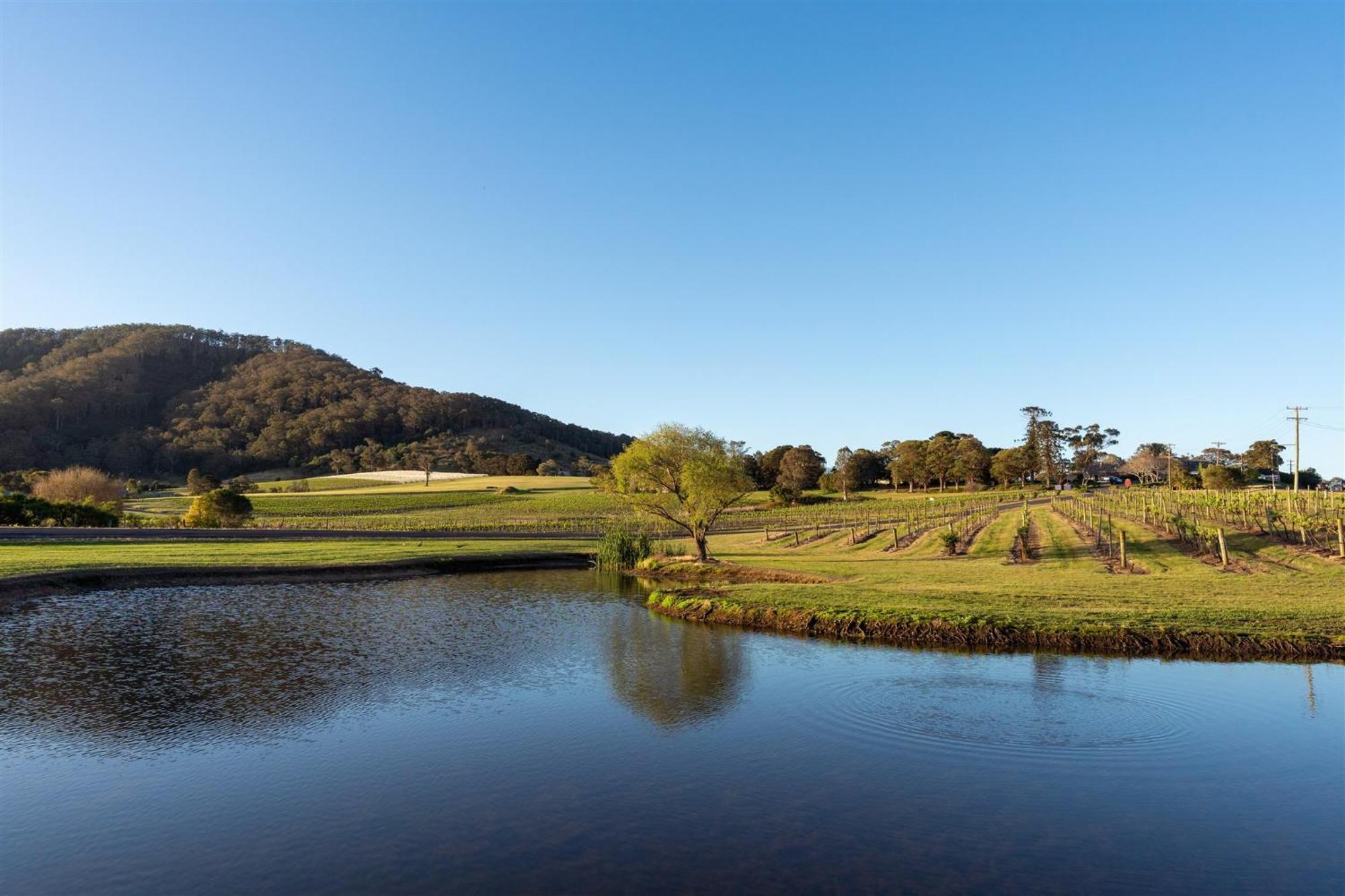 Мотель Coolangatta Estate Shoalhaven Heads Экстерьер фото