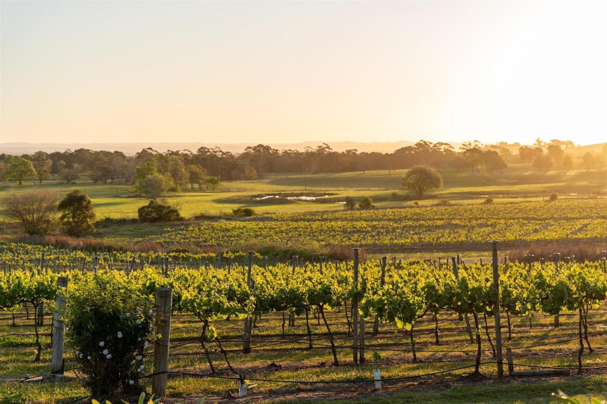 Мотель Coolangatta Estate Shoalhaven Heads Экстерьер фото