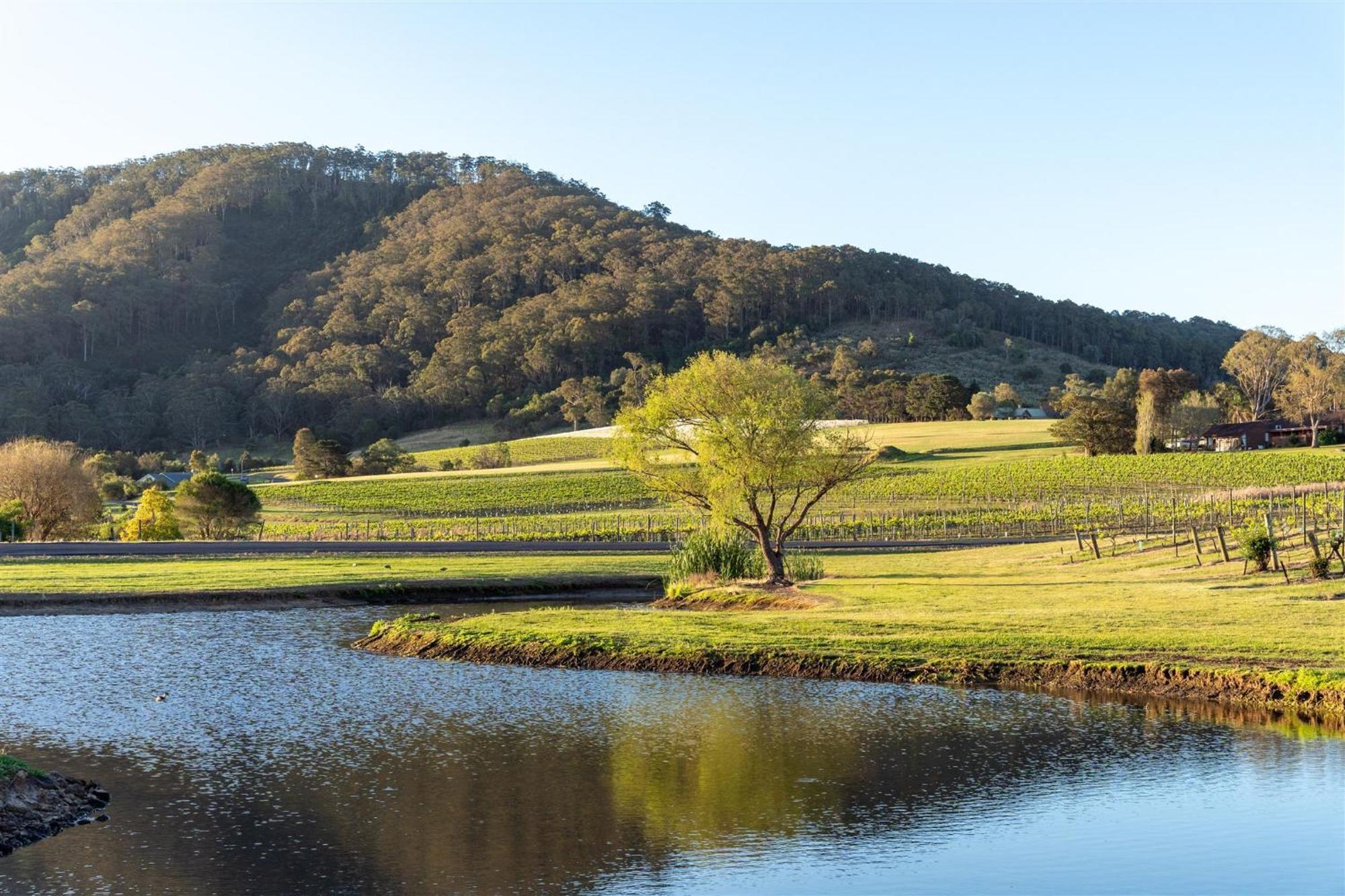 Мотель Coolangatta Estate Shoalhaven Heads Экстерьер фото