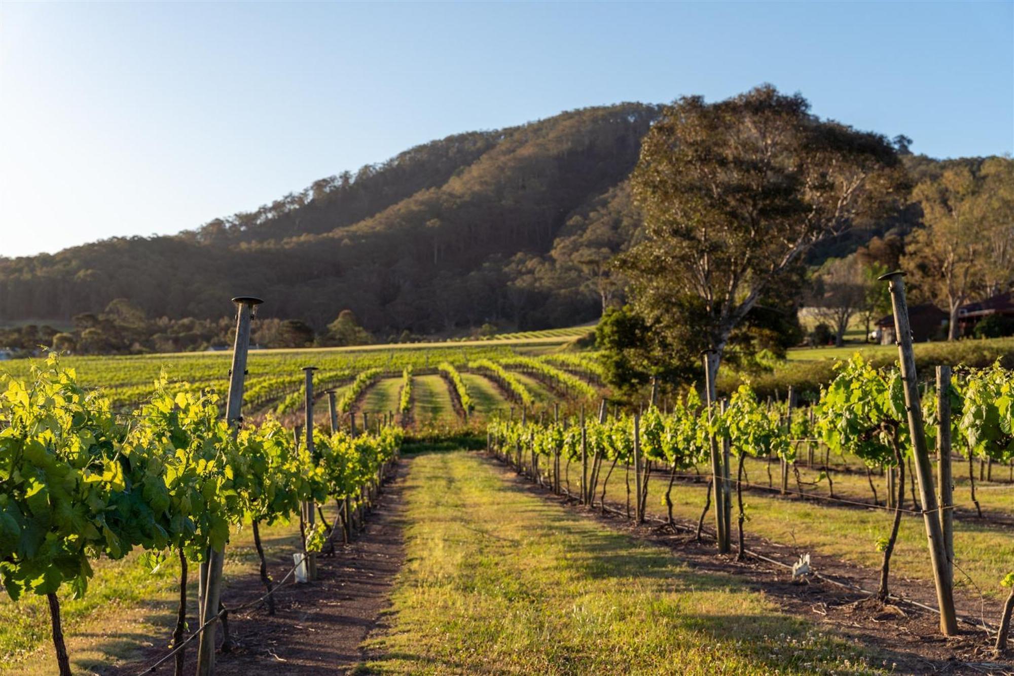 Мотель Coolangatta Estate Shoalhaven Heads Экстерьер фото