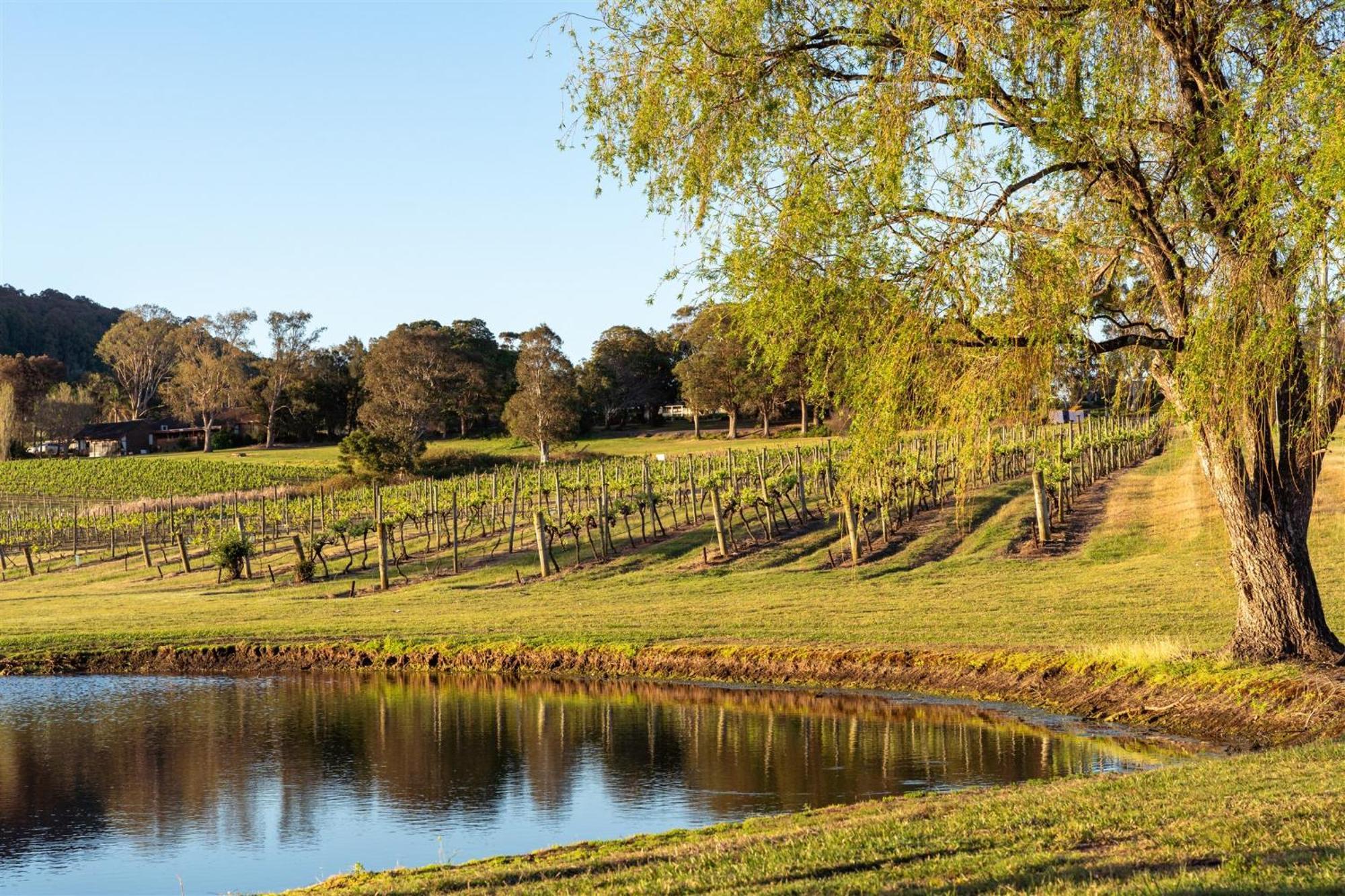 Мотель Coolangatta Estate Shoalhaven Heads Экстерьер фото