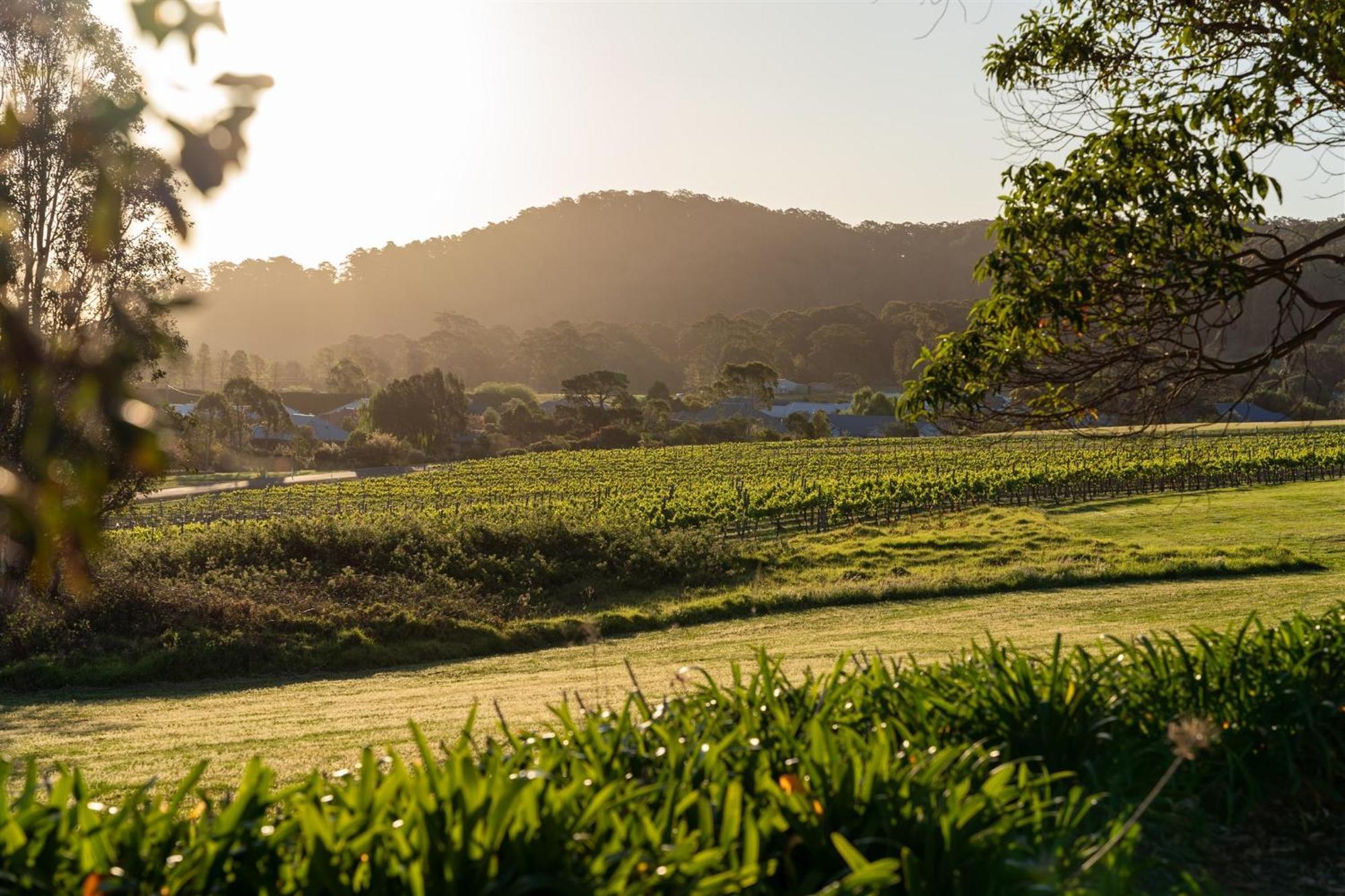 Мотель Coolangatta Estate Shoalhaven Heads Экстерьер фото