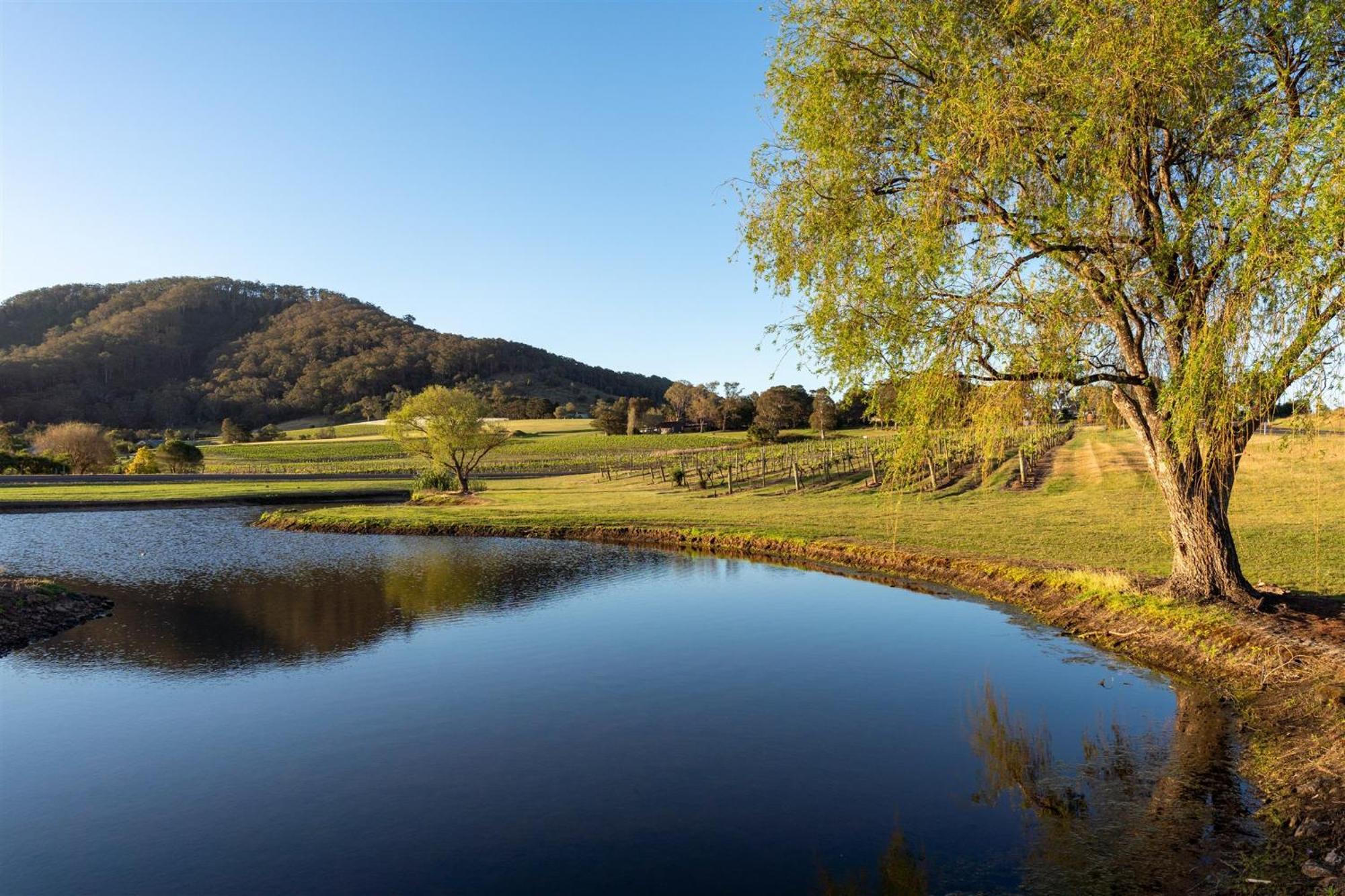 Мотель Coolangatta Estate Shoalhaven Heads Экстерьер фото